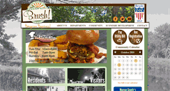 Desktop Screenshot of brushcolo.com